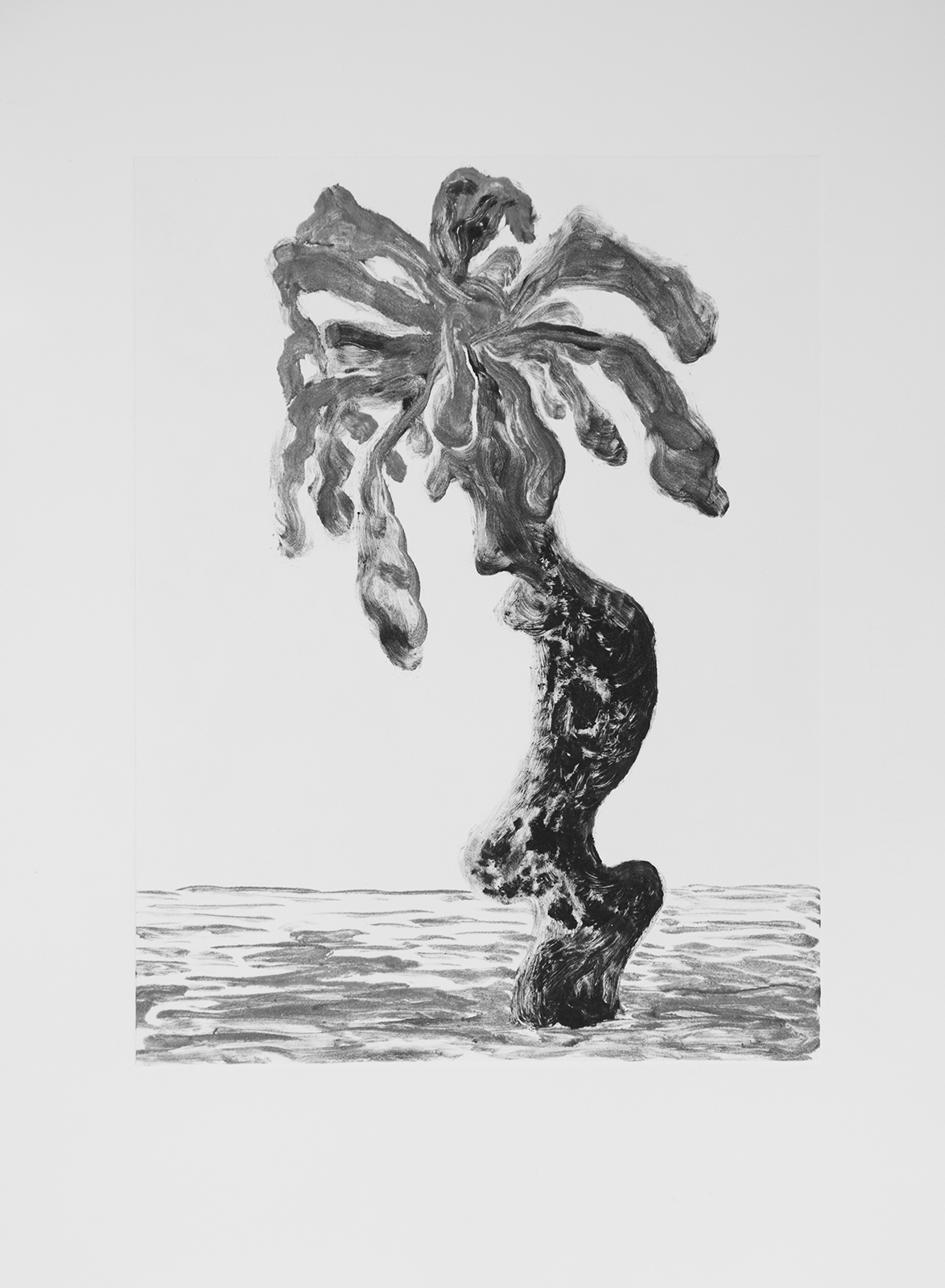 site_Jsph_Haydn_Monotype_2023-13