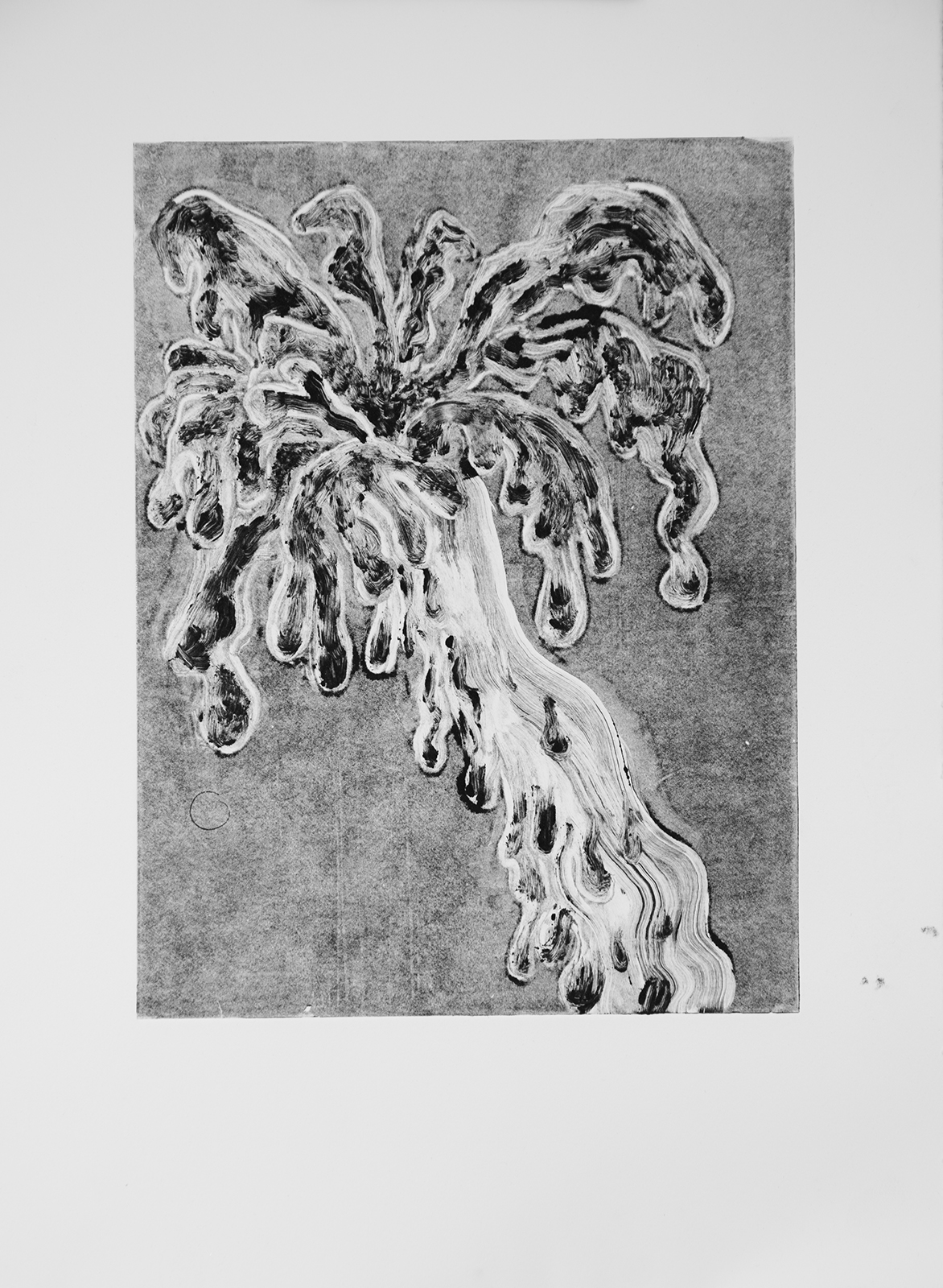 site_Sueur_2_Monotype_2023-4